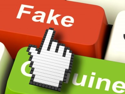 Consiglio d’Europa approva report antibufale presentato dalla senatrice ex M5S